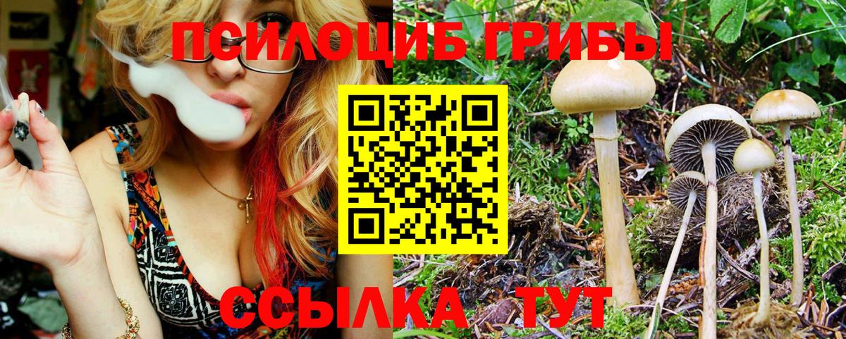 Галлюциногенные грибы Psilocybe  Псилоцибиновые грибы ЛСД  Вход с VPN  Ковров 