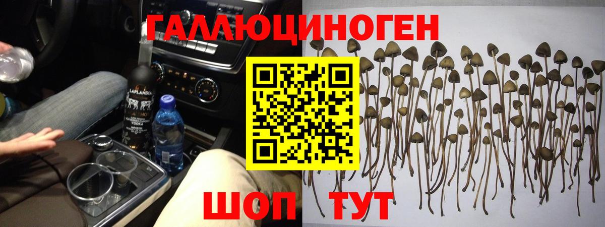 Меф МЯУ МЯУ   Гашиш  Каннабис  Ковров  Вход с VPN  А ПВП СОЛЬ кристаллы  МДМА  LSD-25 