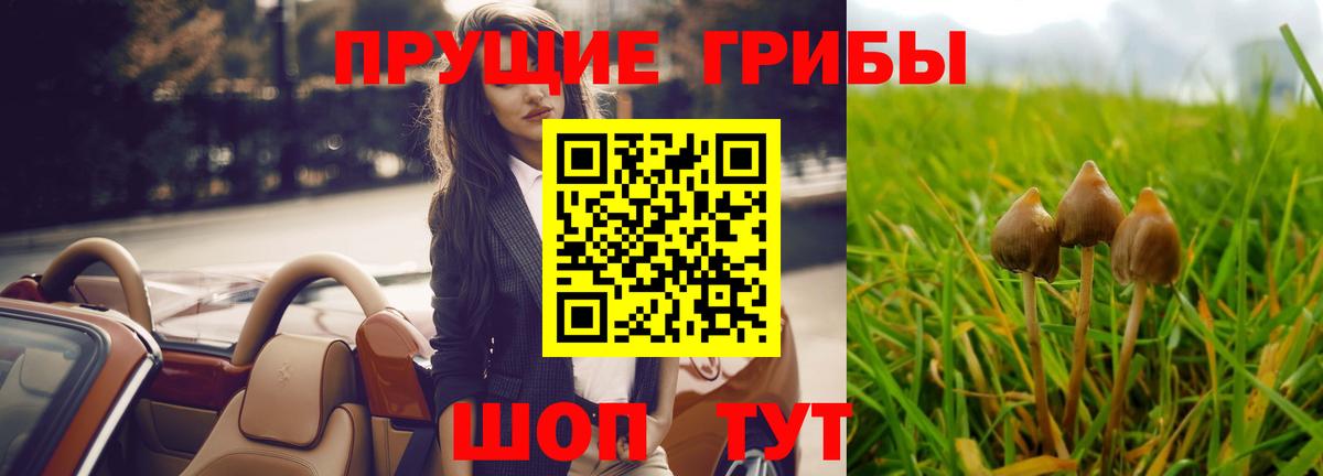 Меф мяу мяу Ковров